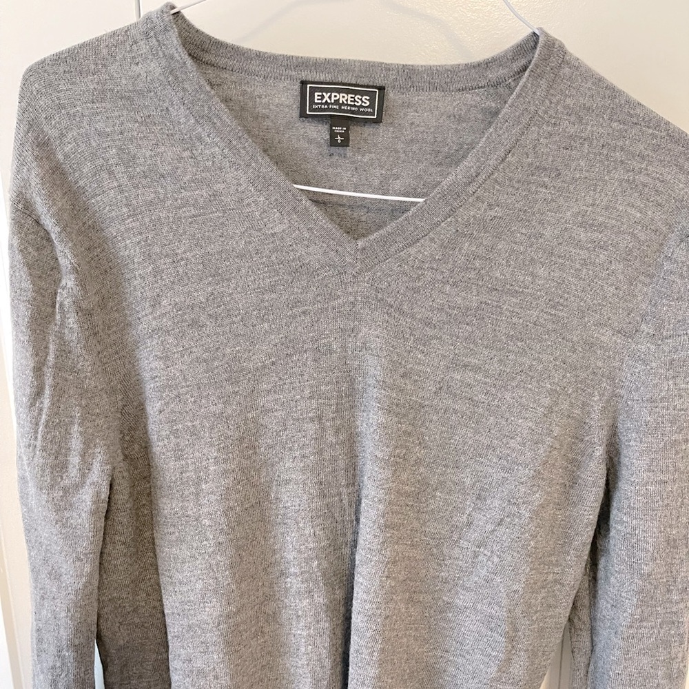 Express Merino Wool V-Neck Sweater